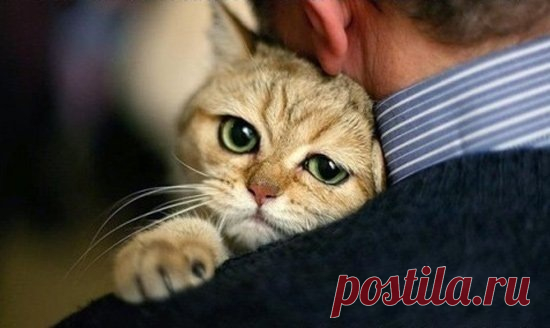 Фотографии на стене сообщества | 31 822 фотографии