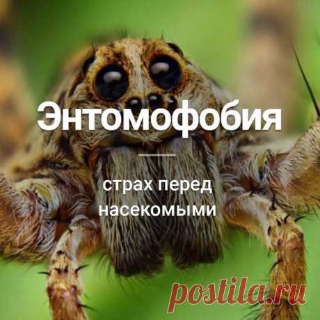 Узнай сегодня