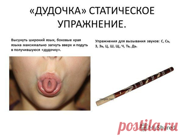 ЛОГОПЕДИЯ ДЛЯ ДЕТЕЙ