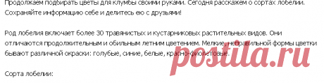 цветы для клумбы