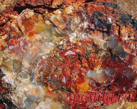 Окаменевший лес Аризоны - Путешествуем вместе