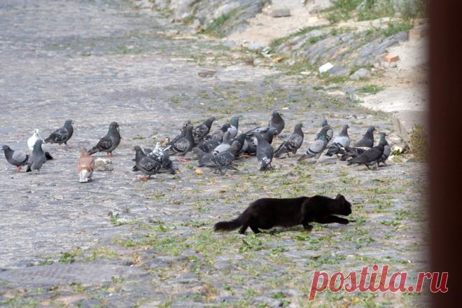 fot2483.jpg (850×567)