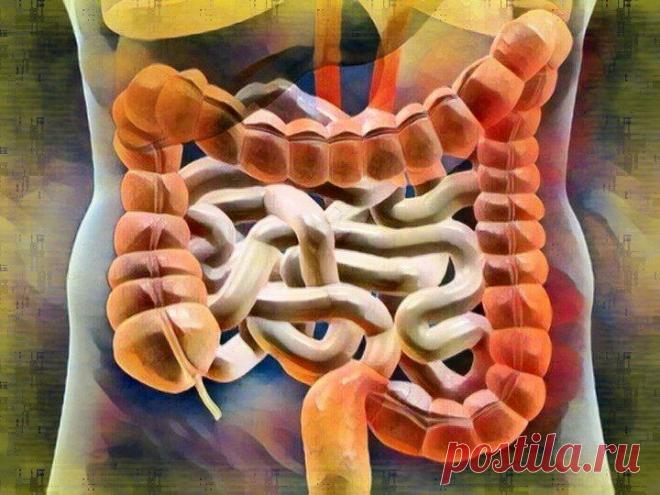 Здоровая микрофлора – здоровый организм: 5 простых способов улучшить работу кишечника