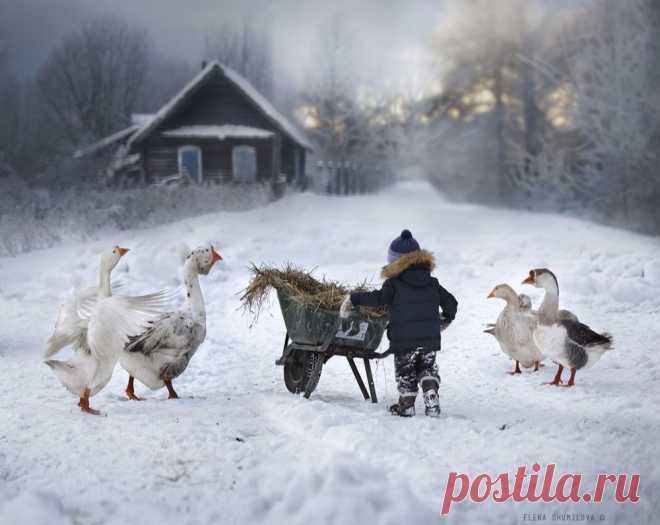 15 зимних фото о счастливом детстве в деревне https://www.flickr.com/photos/75571860@N06/with/15798658418/