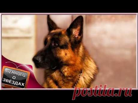 ГРАФ ШУТЦ ХУНД - АКТЁР СЕРИАЛА ПЁС И МУХТАР
