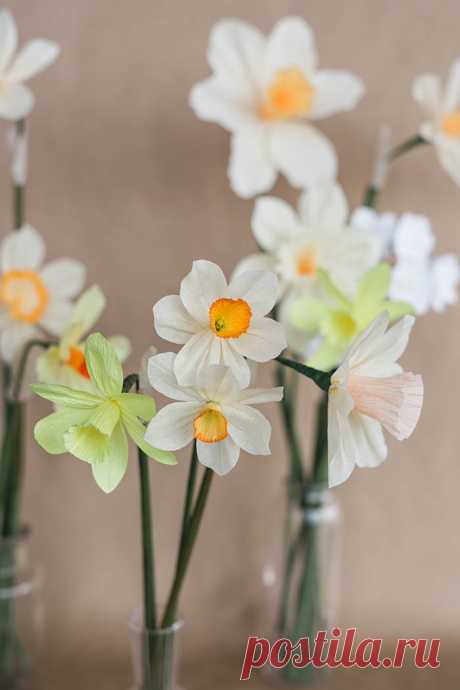 Paper Daffodil Tutorial | Design*Sponge