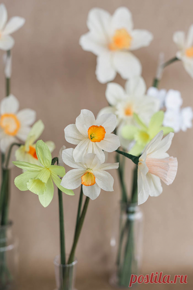 Paper Daffodil Tutorial | Design*Sponge