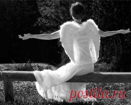 УНИВЕРСИТЕТ АНГЕЛОВ.