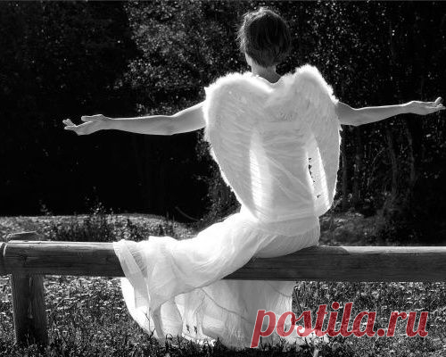 УНИВЕРСИТЕТ АНГЕЛОВ.