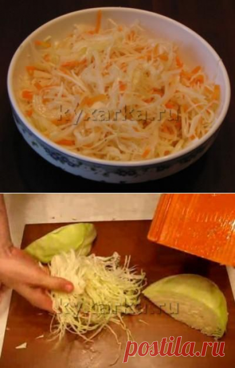 Квашеная капуста (быстрый способ)