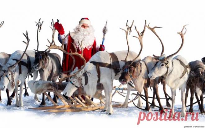Дед мороз на оленях фото - Картинки Дед мороз и снегурочка - Фото мир природы