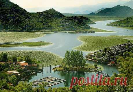 Озеро Skadar, Cetinje, Черногория