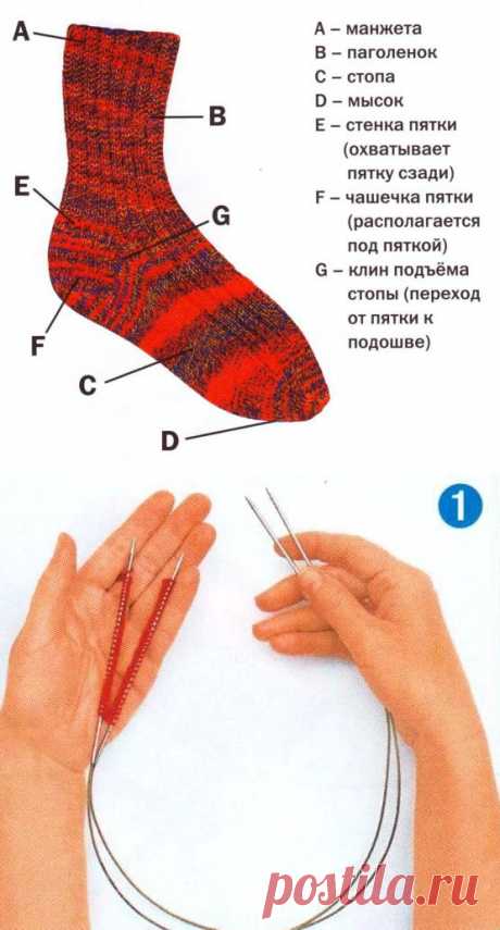 Носки на круговых спицах