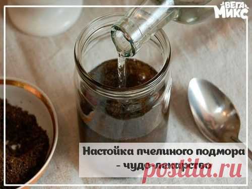 Настойка из пчелиного подмора.