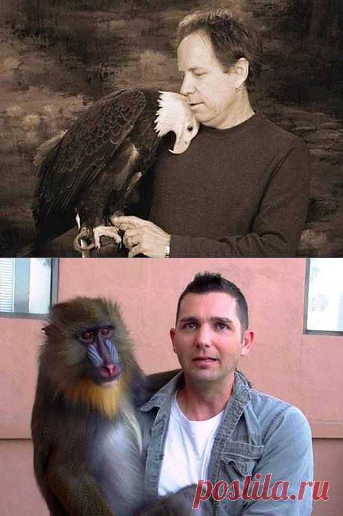 Невероятная дружба человека с диким животным / Питомцы