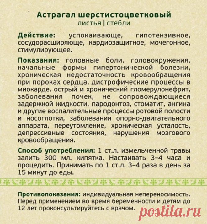 Астрагал шерстистоцветковый