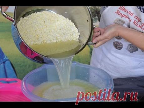 (13) Азиаго Прессато - итальянский сыр в домашних условиях. Мастер-класс - YouTube