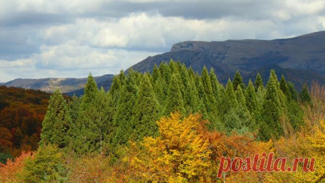 (49) Одноклассники