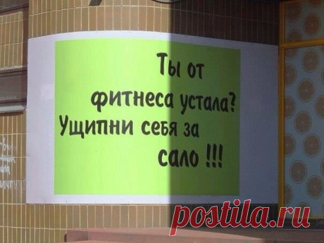Лишние килограммы – не всегда лишь итог нашего, в большей мере, сидячего образа жизни. Причиной накопления жировых отложений может также служить замедленный метаболизм.
 Как убрать обвисший живот с помощью упражненийhttps://estet-portal.com/articles/krasota-i-zdor... Добавьте БАД Фэт Грэберс, КарбоГрэберс ,Комплекс с Гарцинией