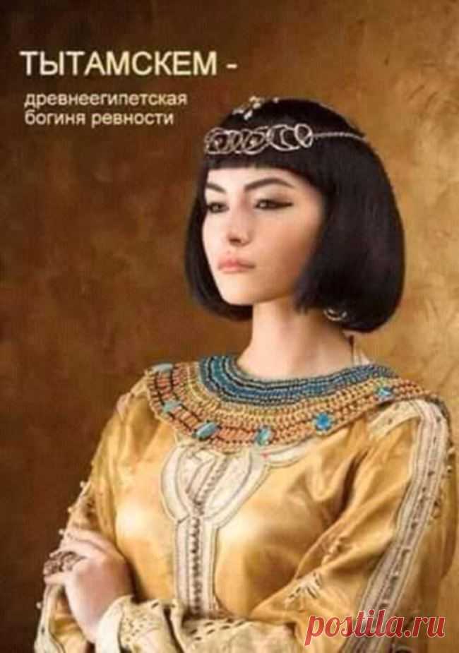 Фото — шик! 28 фото, которые сделают день) Или вечер — FunnyReps