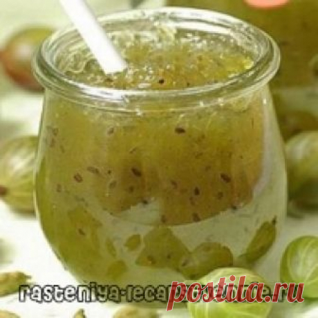 Крыжовник: рецепты варенья без варки