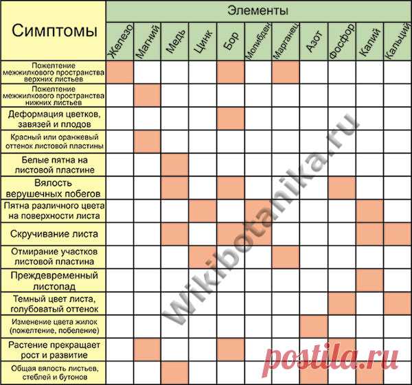 Чего не хватает растению. Дефицит и переизбыток минеральных элементов | WikiBotanika.ru