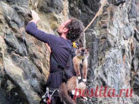 &quot;Мы теперь одной веревкой связаны: стали оба мы - скалолазами&quot;