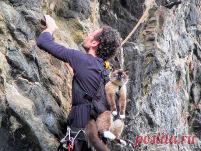 "Мы теперь одной веревкой связаны: стали оба мы - скалолазами"