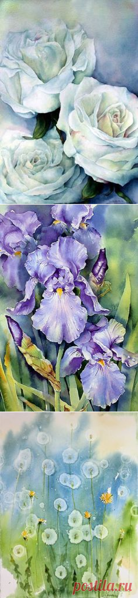 (129) Watercolor в Pinterest