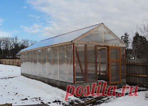 Теплица с деревянным каркасом | обустройство дома