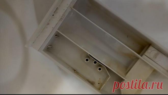 У свекрови всегда чистый отсек для стиральной машины. Оказывается, есть простой способ отбелить даже застарелые пятна
Друзья, всем привет! Я думаю многие сталкивались с такой проблемой, как «зачуханный» отсек для стирального порошка в машинке автомат. За долгие годы эксплуатации он становится желтым, покрытый известковым налетом. Раньше я просто вытаскивала его и споласкивала водой. Труды по его...
Читай пост далее на сайте. Жми ⏫ссылку выше