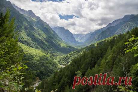 ФотоЛюбка * – ФотоКто