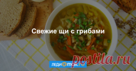 Свежие щи с грибами - пошаговый рецепт с фото - как приготовить, ингредиенты, состав, время приготовления - Леди Mail.Ru Свежие щи с грибами - пошаговый рецепт с фото - Леди Mail.Ru