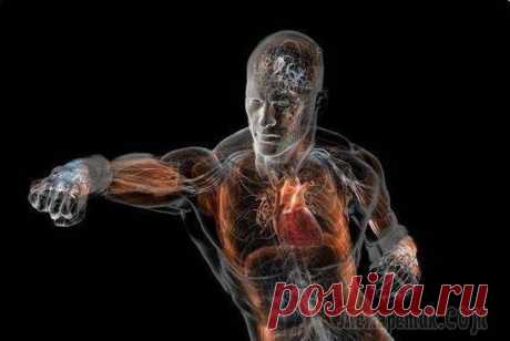 Границы выживания человеческого организма