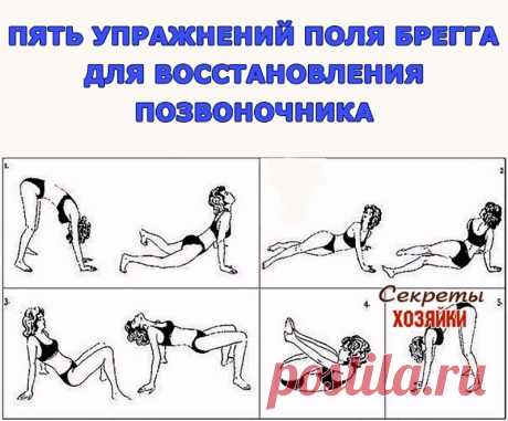 Пять упражнений Поля Брегга для восстановления позвоночника
