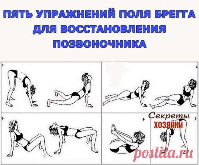 Пять упражнений Поля Брегга для восстановления позвоночника