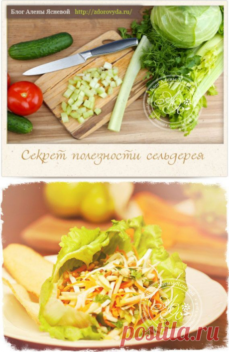 Чем полезны стебли сельдерея для здоровья
