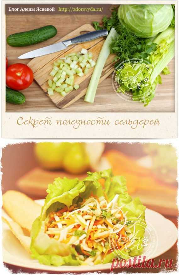 Чем полезны стебли сельдерея для здоровья