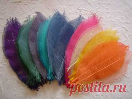 своими руками | Домоводство для всей семьи - Part 9