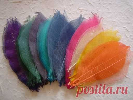 своими руками | Домоводство для всей семьи - Part 9