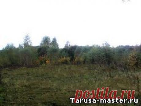 Недвижимость в г. Таруса, Тарусском районе. - д. Бортники участок 50 соток * 950 тыс. руб.