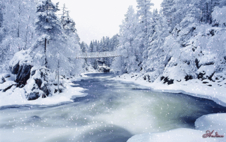 Зимний лес - анимационные картинки и gif открытки