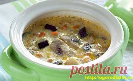 Первые блюда. Суп из баклажанов. Пять вкусных супчиков