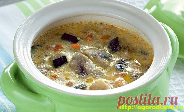 Первые блюда. Суп из баклажанов. Пять вкусных супчиков