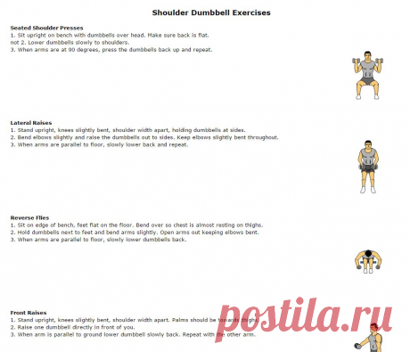 Гантели 
Комплексы упражнений с анимированными диаграммами
Dumbbell Exercises Complete with Animated Diagrams