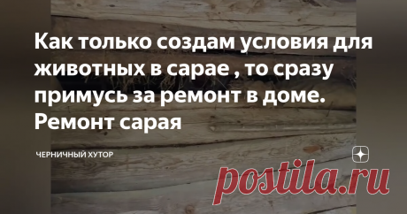 Как только создам условия для животных в сарае , то сразу примусь за ремонт в доме. Ремонт сарая