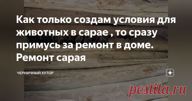 Как только создам условия для животных в сарае , то сразу примусь за ремонт в доме. Ремонт сарая
