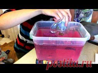 Занимательная наука для детей. Погружаем аквалангиста на дно