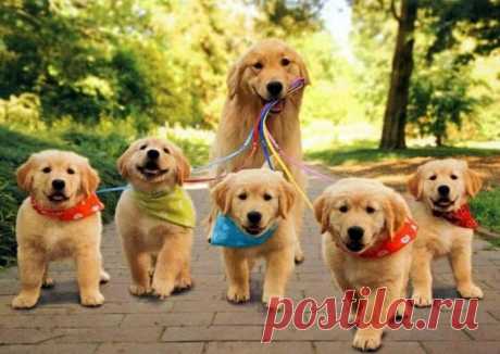 Мой Мир@Mail.Ru