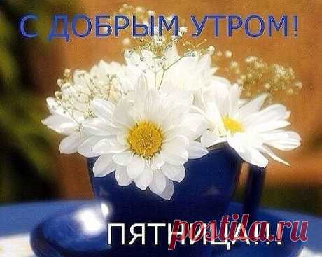 Одноклассники
С Добрым утром, пятница!